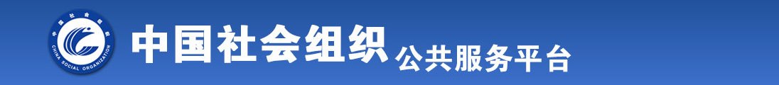 肏穴网全国社会组织信息查询